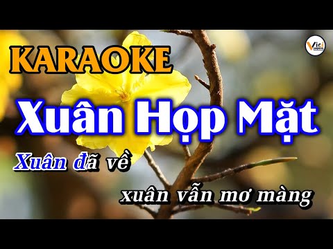 Xuân Họp Mặt - KARAOKE | Vici Karaoke