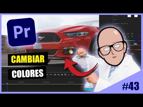 Miniatura del vídeo