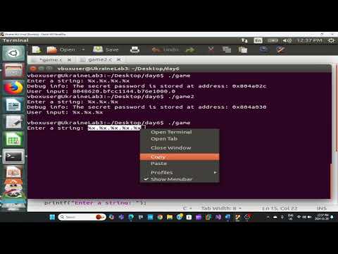 Intro to format string vulnerability