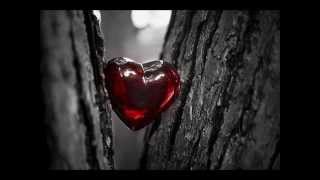 Luz Casal - Si vas al olvido