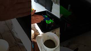 Cleanout 09/11/24 #gold #goldmining #goldpanning #goldprospecting