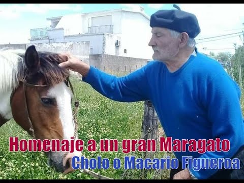 Miguel Ángel Olivera - Macario