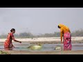 Fishing Video Village Girl Is Fishing In The River With Hand Fishing Best Hand Fishing