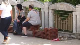 Пореден ден без положителна проба в Смолянско, излекуваните от КОВИД-19 станаха 31