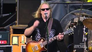 Gov't Mule -  Southern Ground Music Festival 2014 - Stoop so low