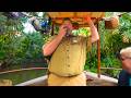 4K Jungle Cruise 2025 POV BEST Skipper Ever Disneyland Park California 4K 60FPS