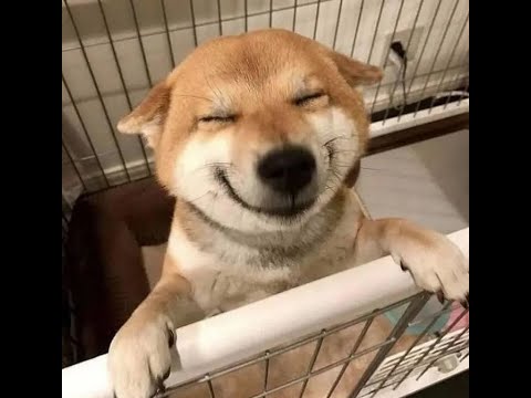 Velloso (Não N$) | FiveM HighLights #11 (COMPLEXO E VENISH)