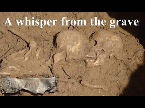 Investigation of Stalingrad mass graves - A whisper from the grave