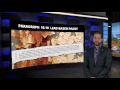 California Association Of Realtors Lead-Based Paint Disclosure Form