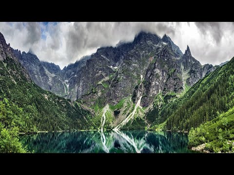 Cash & Ferven - Rebirth | Chill & Dub | NO COPYRIGHT