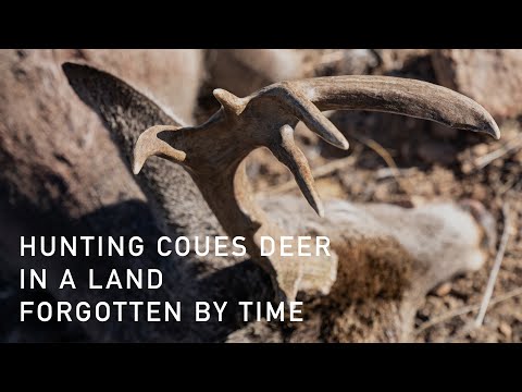 download lagu mp3 mp4 Coues Deer Hunting, download lagu Coues Deer Hunting gratis, unduh video klip Coues Deer Hunting