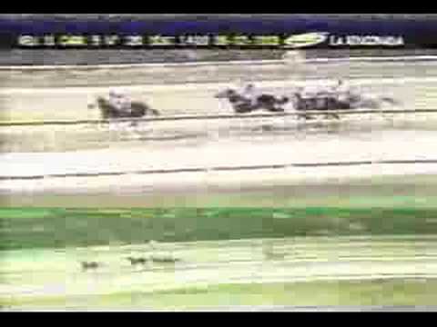 Clasico Hylander 2003