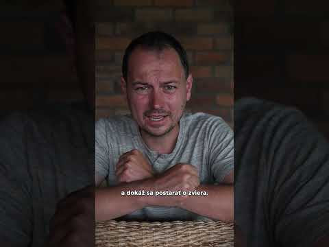 Zmeňme život mačkám na východnom Slovensku