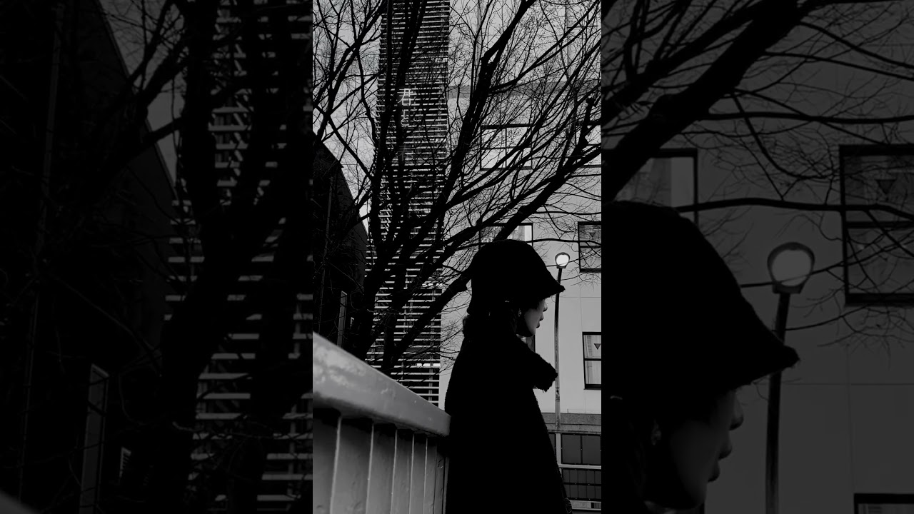 ♪SAKURA/遊遊（17） #歌ってみた #遊遊 #アコースティックver #cover #17歳 #懐メロ #平成レトロ #いきものがかり #sakura #shortsmusic