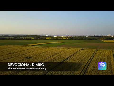 Devocional diario - 2024-08-27 - La gracia de Dios que me capacita