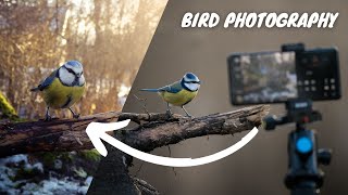 Xperia PRO-I // Tips & Tricks on Creative Phone Photography