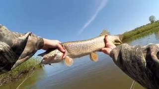 Воблер yo zuri l minnow 44