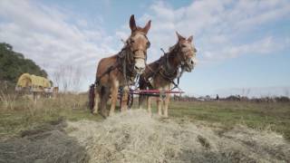 Local Routes - Episode 210 (First Air 2/23/17)