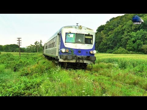 R16246 Brad-Gurahont-Sebis-Ineu-Santana-Arad in Defileul Crisului Alb Canyon - 31 July 2018