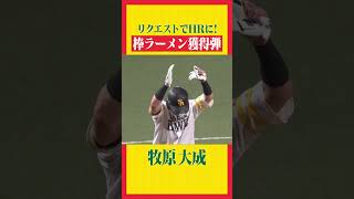【リクエスト検証弾】牧原大成『棒ラーメンHR』 #shorts