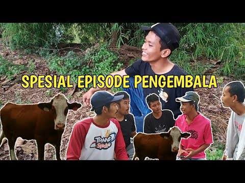 komedi-indonesia-spesial-penggembala