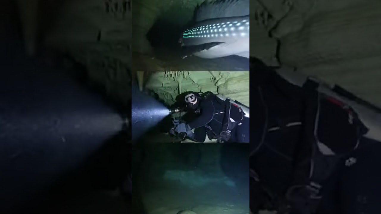Forbidden Cave Dweller Strikes the Diver #viral #deepsea
