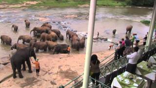 preview picture of video 'Słoniowa kąpiel / Bath of Elephants'
