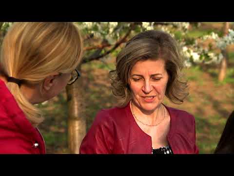 Gasztroangyal 18. rész - Hajdúdorog (2019)