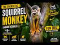 S3 E17 Squirrel Monkey Secrets