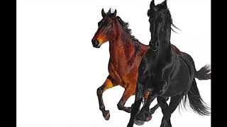 Old Town Road- Lil Nas X Diplo Remix