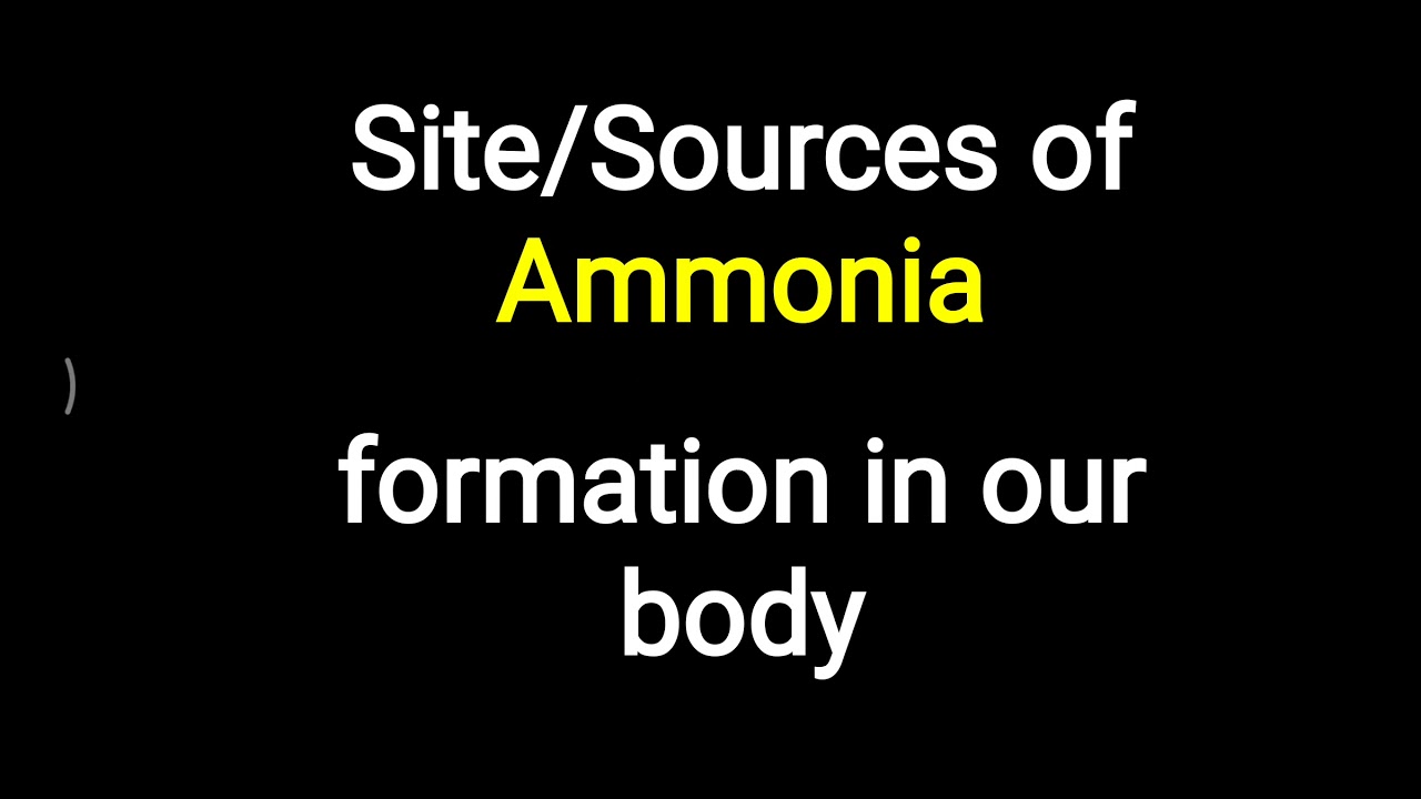 Sources of Ammonia formation - YouTube