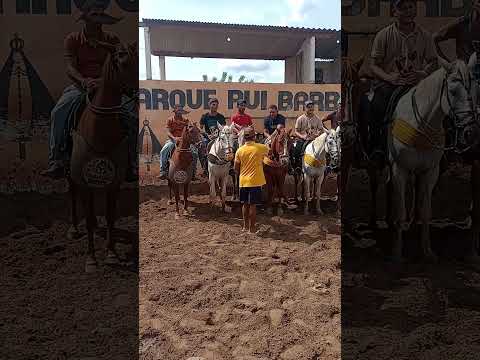 campeões do bolão de vaquejada parque Rui Barbosa colinas Maranhão