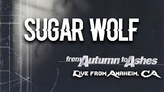 From Autumn To Ashes - Sugar Wolf (Live)