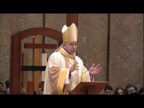 Homily: Ascension Sunday 2011 & Cathedral Confirmations (06/06/2011)