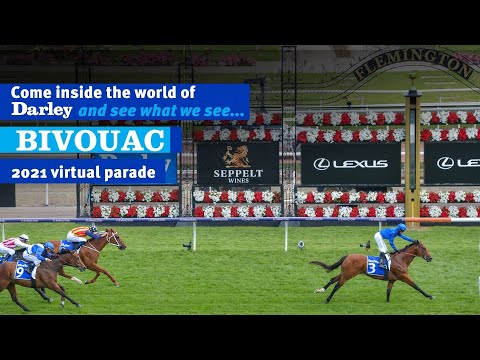 2021 Darley Australia Stallion Parade - Bivouac