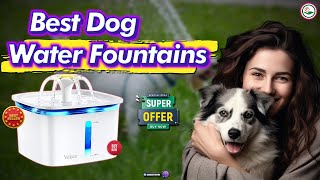The BEST Dog Water Fountains Revealed Portable Options Included