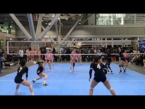 Bryant University (Rhode Island) Women's Volleyball Recruiting