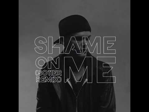 Avicii - Shame On Me (so11ER Remix)