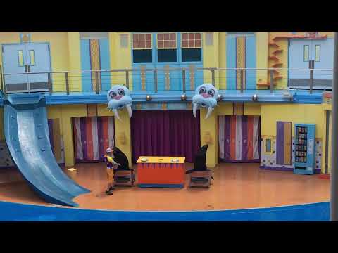 Another lovable human nature sea lion show