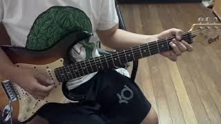 Twin Peaks - Irene (Guitar Cover)