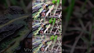 Vivo x300 Ultra vs Samsung Galaxy S26 ultra vs Xiaomi 17 Ultra Photography Test Camera Battle 2026