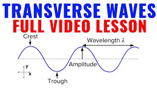 Transverse Waves Lesson & Examples (SAT Physics/AP Physics 1/NY Regents Physics)