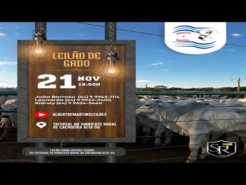 LEILÃO ALBERTO e MARTINS 21/11/2025 AS 18:00 hs em Cachoeira Alta Go.