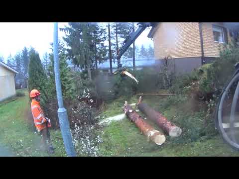 Tuokiokuvia purunpoistosta!