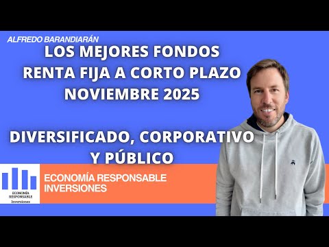 The best short-term fixed income funds as of November 2025