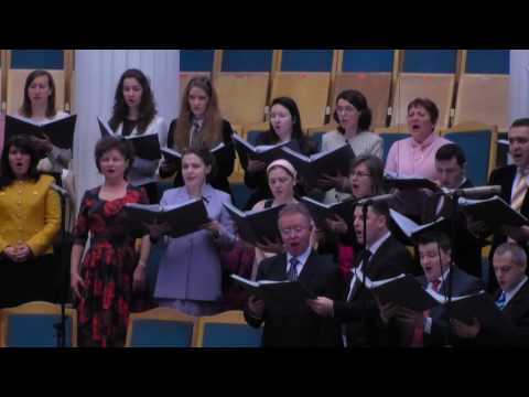 01.01.17 AM - Program + Predica - Petrica Vidu