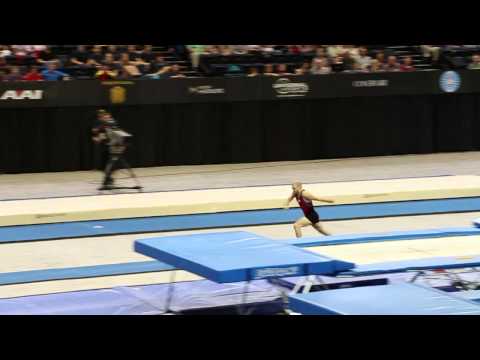 Jon Schwaiger - Double Mini Final - 2014 world trampoline and tumbling championships