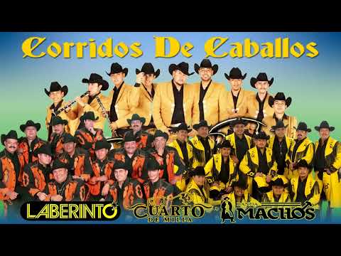Grupo Laberinto, Banda Machos, Grupo Cuarto De Milla - Mix Puros Corridos de Caballos
