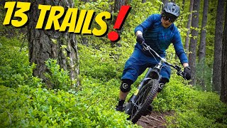 Toffer: So viele TRAILS auf nur einer einzigen Mountainbike / eBike Tour❗️ | MI1 Michelstadt