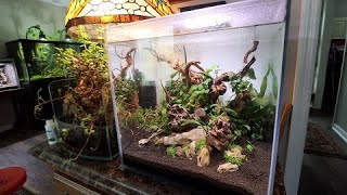 Fluval Flora: Anoxic Reset